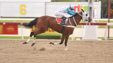 Así fue el ajuste de Queen Emmy que va en la primera condicional de reclamo del domingo Así fue el ajuste de Queen Emmy que va en la primera condicional de reclamo del domingo