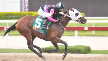 Axis Mundi luce su ajuste para la reunión 44 en La Rinconada Axis Mundi luce su ajuste para la reunión 44 en La Rinconada