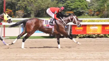 Velocity queda listo para participar en el 5y6 dominical con este ajuste Velocity queda listo para participar en el 5y6 dominical con este ajuste