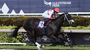 Emisael Jaramillo logra doblete en este hipódromo de Estados Unidos Emisael Jaramillo logra doblete en este hipódromo de Estados Unidos