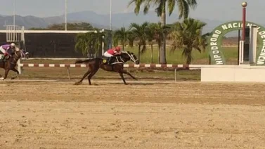  Retirados para el hipódromo de Valencia 11-11-2023