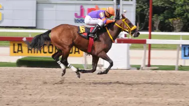 Así queda el ajuste de Caramel Arrow para la reunión 44 de La Rinconada Así queda el ajuste de Caramel Arrow para la reunión 44 de La Rinconada