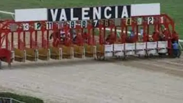 5y6 Nacional con récord en el monto sellado en la reunión 22 en Valencia 5y6 Nacional con récord en el monto sellado en la reunión 22 en Valencia