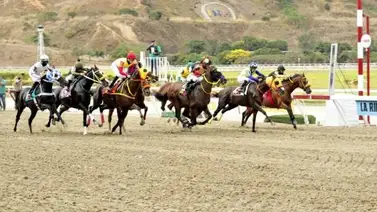 Estos son los retirados del Hipódromo La Rinconada 12-11-2023 Estos son los retirados del Hipódromo La Rinconada 12-11-2023