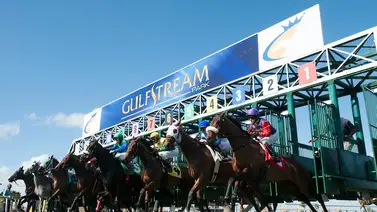 Mira cuántas victorias consiguieron los jinetes venezolanos este sábado en Gulfstream Park Mira cuántas victorias consiguieron los jinetes venezolanos este sábado en Gulfstream Park