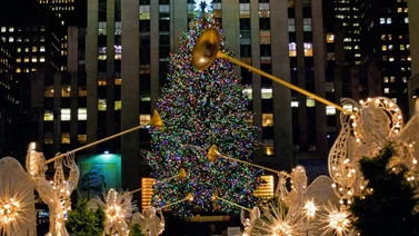 Un abeto noruego de 80 años se convertirá en el protagonista de la Navidad en Nueva York
