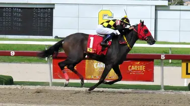 Tequila derrota a Fast Sensations en la Condicional Especial de este domingo en La Rinconada Tequila derrota a Fast Sensations en la Condicional Especial de este domingo en La Rinconada