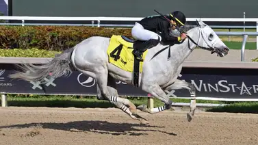 Edgar “Tendón” Pérez llega a esta increíble cantidad de victorias en Estados Unidos Edgar “Tendón” Pérez llega a esta increíble cantidad de victorias en Estados Unidos