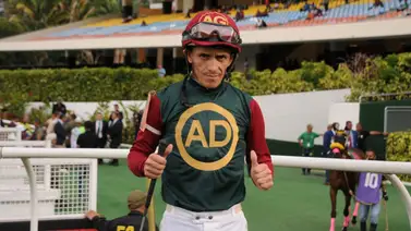 Conoce lo que dijo José Gilberto Hernández sobre la yegua Ethereum Conoce lo que dijo José Gilberto Hernández sobre la yegua Ethereum