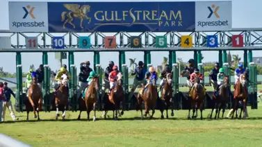 Esta será la fecha de inicio de las carreras de grama en Gulfstream Park Esta será la fecha de inicio de las carreras de grama en Gulfstream Park