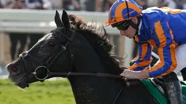 Esto es lo que dice el entrenador Aidan O'Brien sobre el futuro de Auguste Rodin Esto es lo que dice el entrenador Aidan O'Brien sobre el futuro de Auguste Rodin