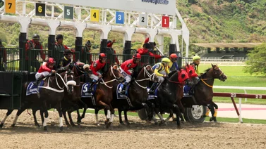 ¿Cuáles son los participantes para el Clásico Nuestra Señora de Chiquinquirá versión machos en La Rinconada? Aquí te lo mencionamos