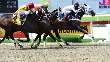 Esta es la nómina para el Clásico Nuestra Señora de Chiquinquirá versión hembras el domingo en La Rinconada Esta es la nómina para el Clásico Nuestra Señora de Chiquinquirá versión hembras el domingo en La Rinconada