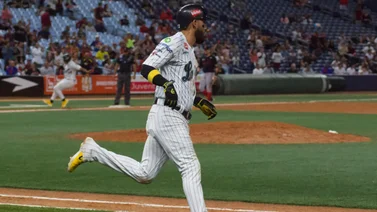 LVBP: Conoce la jornada de este martes 14 de noviembre (+video)