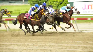 Conoce a las dosañeras a participar en el Clásico Ciudad de Caracas Conoce a las dosañeras a participar en el Clásico Ciudad de Caracas