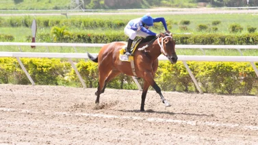 Debuta yegua de padrillo que ha dado dos triples coronados en La Rinconada