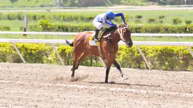 Debuta yegua de padrillo que ha dado dos triples coronados en La Rinconada Debuta yegua de padrillo que ha dado dos triples coronados en La Rinconada