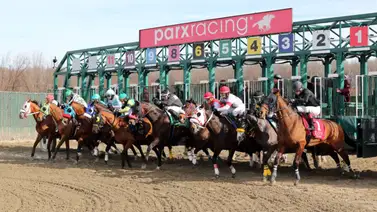 Así quedaron los resultados de las carreras en Parx Racing 14-11-2023 Así quedaron los resultados de las carreras en Parx Racing 14-11-2023