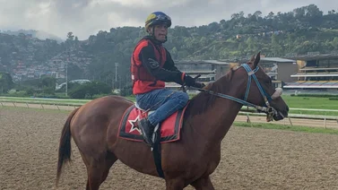 Johan Aranguren quiere ganar de punta a punta con este ejemplar el domingo en La Rinconada  (+ video)