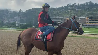 Johan Aranguren quiere ganar de punta a punta con este ejemplar el domingo en La Rinconada (+ video) Johan Aranguren quiere ganar de punta a punta con este ejemplar el domingo en La Rinconada (+ video)