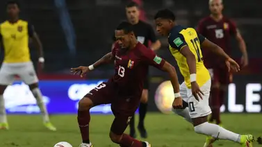Eliminatorias: Estos serían los jugadores Vinotinto que enfrentarían a Ecuador (+Posible alineación) Eliminatorias: Estos serían los jugadores Vinotinto que enfrentarían a Ecuador (+Posible alineación)