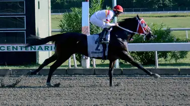 Serie Hípica 2023: Este es el representante de República Dominicana para el Clásico del Caribe Serie Hípica 2023: Este es el representante de República Dominicana para el Clásico del Caribe