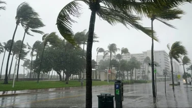 ¡A sacar paraguas! Torrenciales lluvias y vientos huracanados en Florida (+Video) 