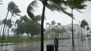 ¡A sacar paraguas! Torrenciales lluvias y vientos huracanados en Florida (+Video) ¡A sacar paraguas! Torrenciales lluvias y vientos huracanados en Florida (+Video)