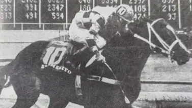 TBT Hípico: El día en que Benemérito nadó en el fango mexicano de Agua Caliente TBT Hípico: El día en que Benemérito nadó en el fango mexicano de Agua Caliente