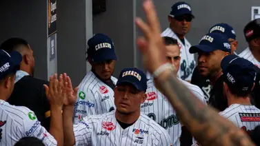 LVBP: Leones del Caracas recibe estelar incorporación para su pitcheo (+Detalles) LVBP: Leones del Caracas recibe estelar incorporación para su pitcheo (+Detalles)