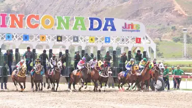 Así queda el ajuste de este potrillo de Rafael Cartolano previo a su debut en la reunión 45 de La Rinconada Así queda el ajuste de este potrillo de Rafael Cartolano previo a su debut en la reunión 45 de La Rinconada