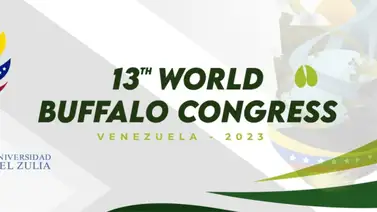 La 13º edición del “Congreso Mundial de Búfalo” llegará a Caracas del 22 al 24 de noviembre (+Video) La 13º edición del “Congreso Mundial de Búfalo” llegará a Caracas del 22 al 24 de noviembre (+Video)