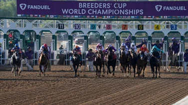 ¡Sin problemas! Ejemplares ganadores y participantes de las Breeders' Cup salen limpios en las pruebas antidóping
