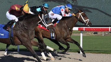 Estos jinetes venezolanos ganan el viernes en Gulfstream Park