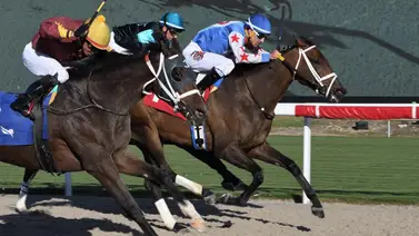 Estos jinetes venezolanos ganan el viernes en Gulfstream Park Estos jinetes venezolanos ganan el viernes en Gulfstream Park