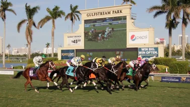 Datos de Última Hora para Gulfstream Park 18-11-2023