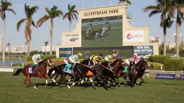 Datos de Última Hora para Gulfstream Park 18-11-2023 Datos de Última Hora para Gulfstream Park 18-11-2023