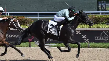 Cipriano Gil logra su tercer triunfo en Estados Unidos (+Video) Cipriano Gil logra su tercer triunfo en Estados Unidos (+Video)
