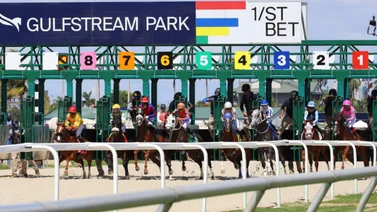 Cambios y Retirados para Gulfstream Park 18-11-2023