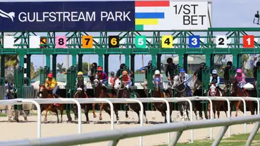 Cambios y Retirados para Gulfstream Park 18-11-2023 Cambios y Retirados para Gulfstream Park 18-11-2023