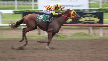 Serie Hípica 2023: Así ejercitan algunos representantes panameños en la pista del Presidente Remón Serie Hípica 2023: Así ejercitan algunos representantes panameños en la pista del Presidente Remón