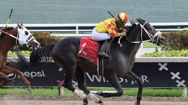 Entrenador venezolano alcanza esta importante cifra de triunfos en Estados Unidos Entrenador venezolano alcanza esta importante cifra de triunfos en Estados Unidos