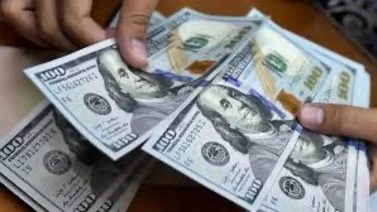 ¡Gana $2.500 por ver películas navideñas! Conoce cómo puedes postularte 