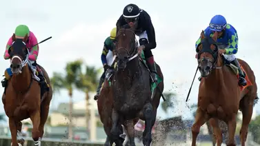Así quedaron los resultados de las carreras en Gulfstream Park 18-11-2023 Así quedaron los resultados de las carreras en Gulfstream Park 18-11-2023