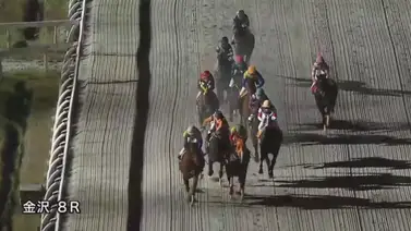 ¡Desastre en Japón!: Se fue la luz en plena carrera y esto fue lo que pasó (+video) ¡Desastre en Japón!: Se fue la luz en plena carrera y esto fue lo que pasó (+video)