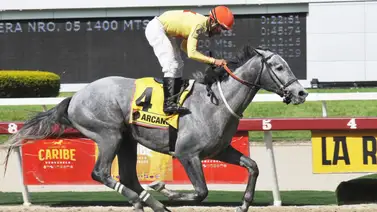 Arcano logra la sorpresa en el Clásico Antonio José de Sucre Arcano logra la sorpresa en el Clásico Antonio José de Sucre