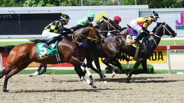 Así quedaron los resultados de las carreras de La Rinconada 19-11-2023 Así quedaron los resultados de las carreras de La Rinconada 19-11-2023