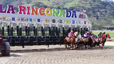 5y6 de La Rinconada con monto récord en su recaudación en la reunión 45 5y6 de La Rinconada con monto récord en su recaudación en la reunión 45