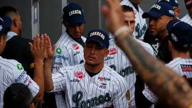 LVBP: Leones del Caracas confirma que este grandeliga no se pondrá la melena (+Declaraciones) LVBP: Leones del Caracas confirma que este grandeliga no se pondrá la melena (+Declaraciones)