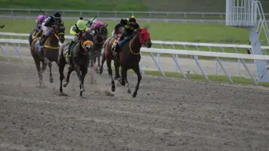 Esta fue la razón por la que retiraron a Invader este domingo en La Rinconada Esta fue la razón por la que retiraron a Invader este domingo en La Rinconada